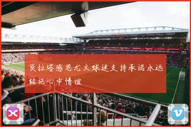莫拉塔感恩尤文球迷支持承诺永远铭记心中情谊